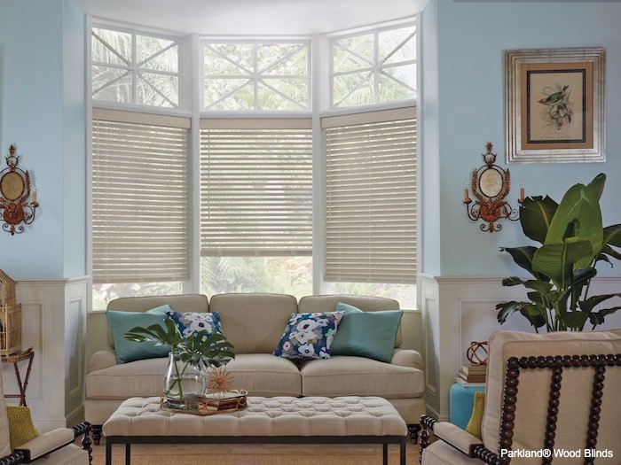 A living room with a light blue accent wall.